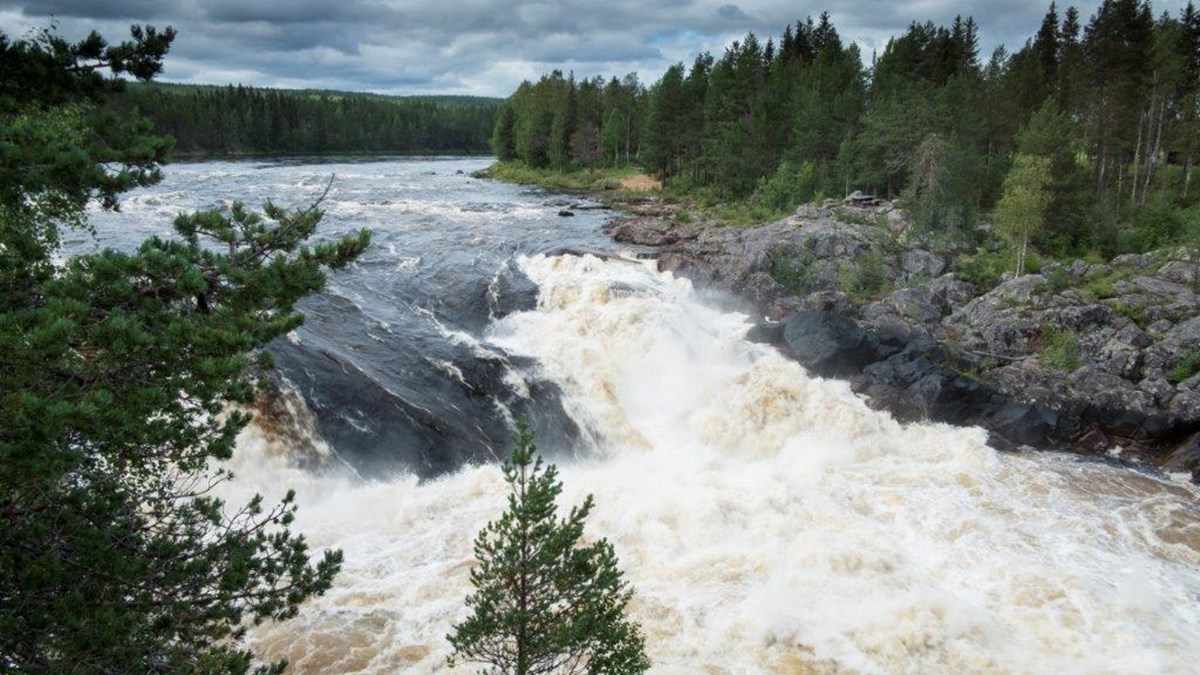 Instalco ja Ruotsin luonnonsuojeluyhdistys aloittavat yhteistyön puhtaamman veden puolesta